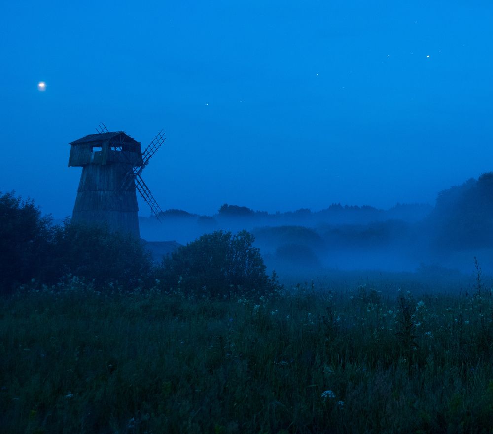 Photograph by Дарья