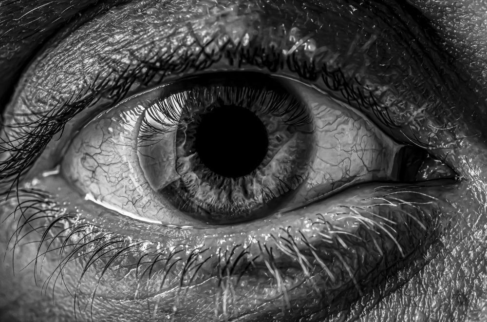 Photograph by Владимир Лекунович