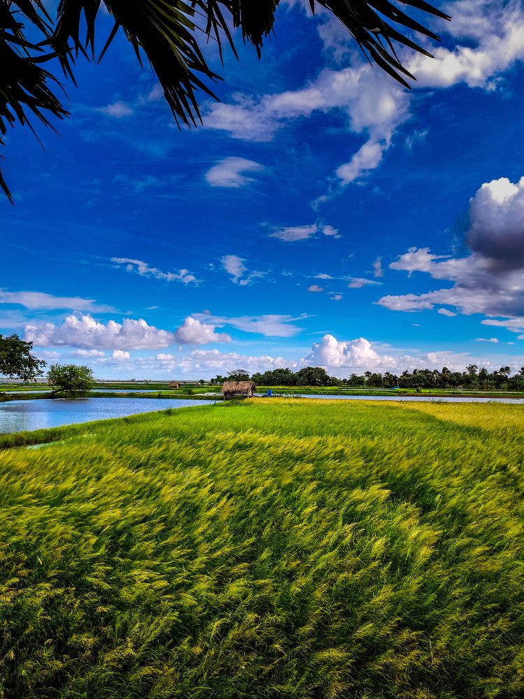 Photograph by joy mondal