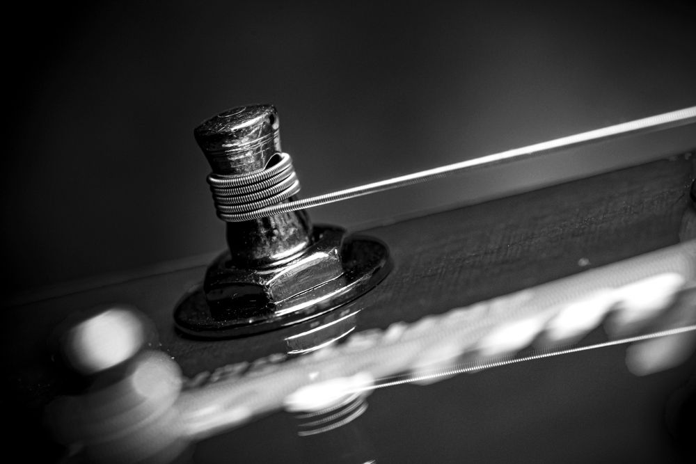 Photograph by Владимир Лекунович