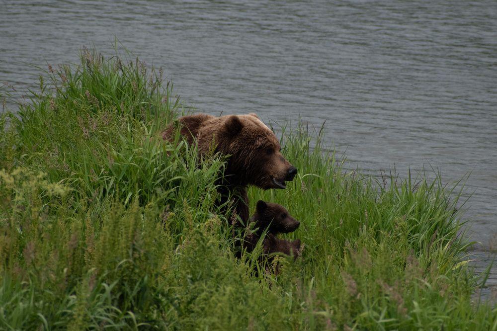 Фотография автора Мария Рохмистрова
