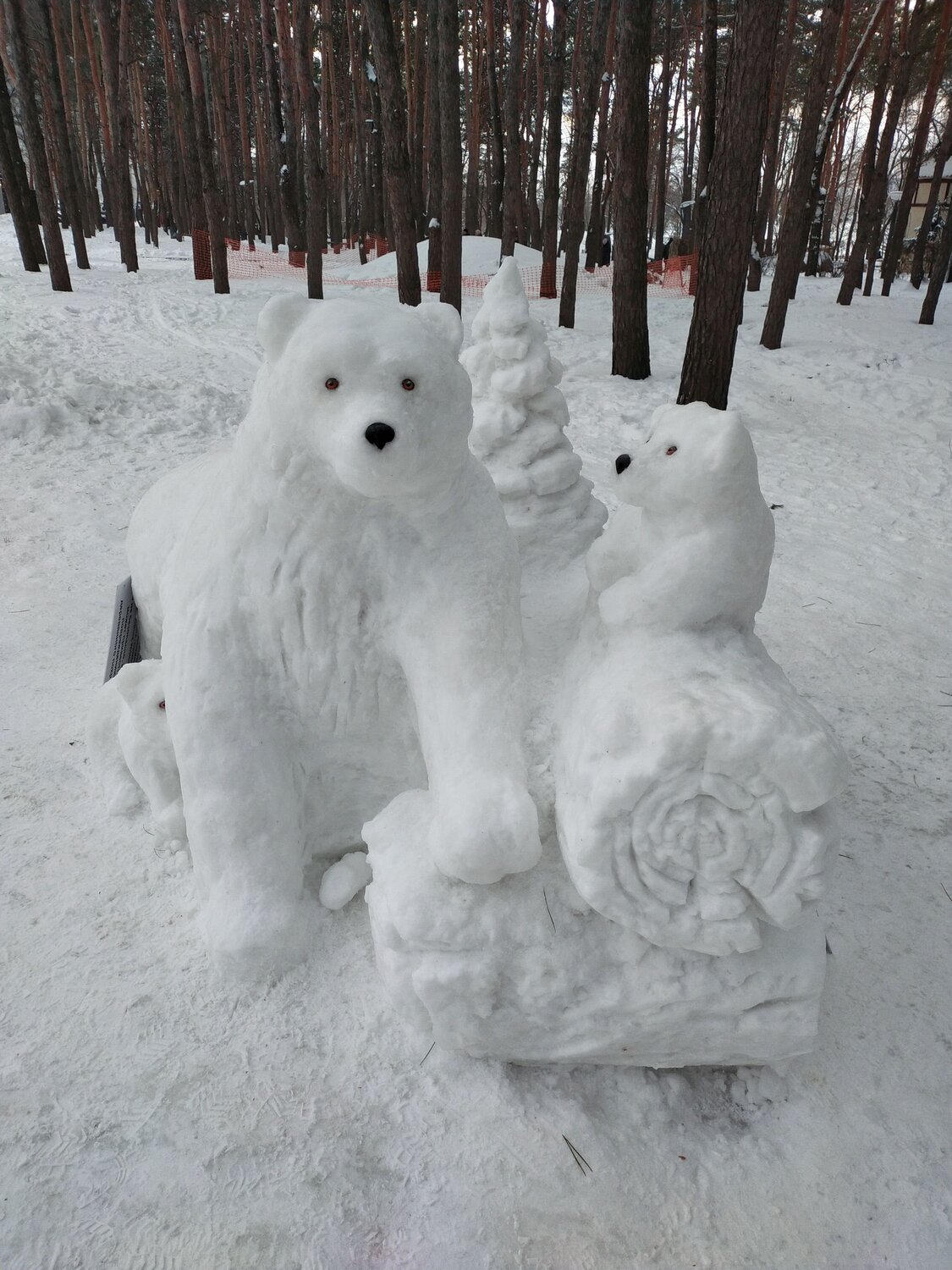Photo #7408782