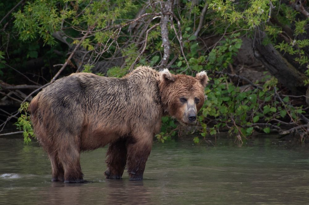 Фотография автора Мария Рохмистрова