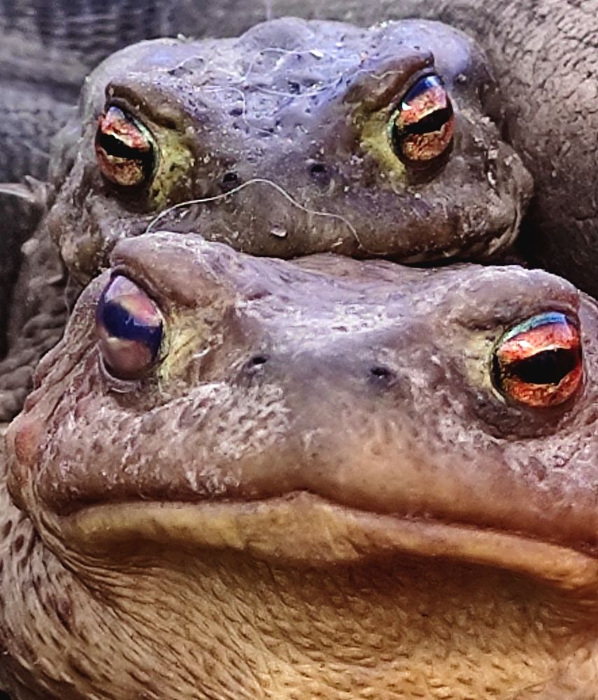 Photograph by Филатова