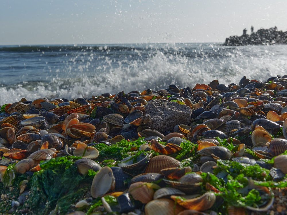 Photograph by Ирина