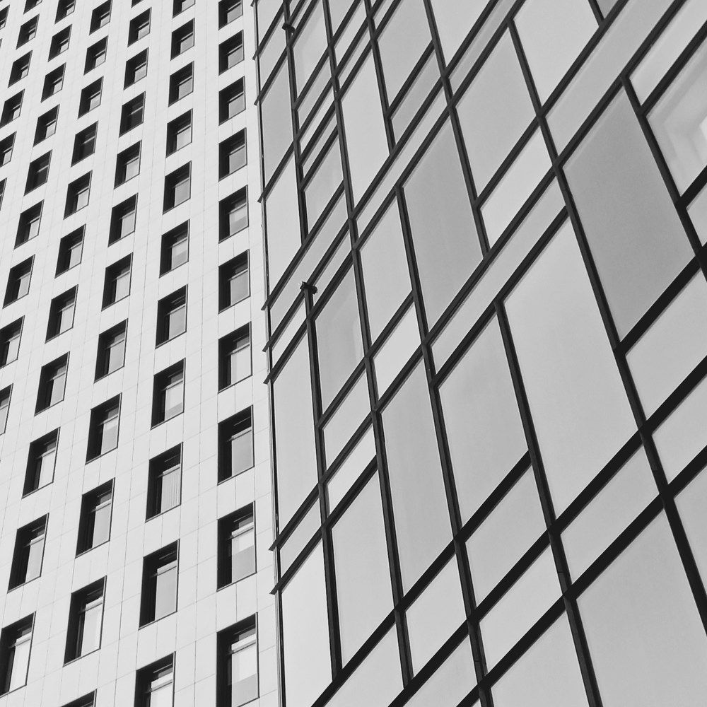 Glass & Lines