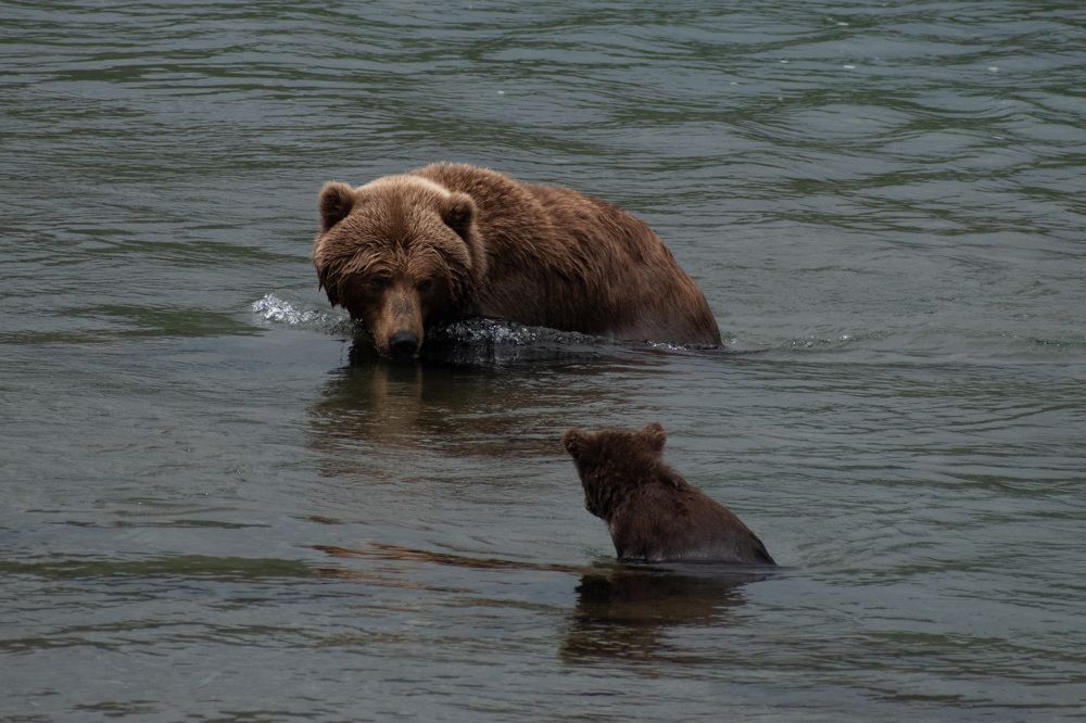 Фотография автора Мария Рохмистрова