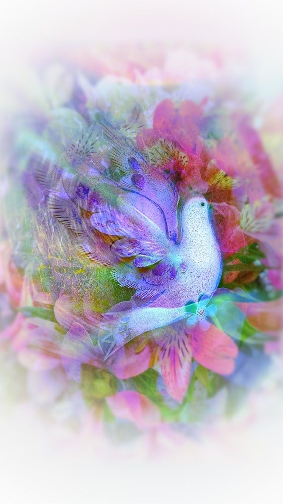 Photograph by Алла Холодова