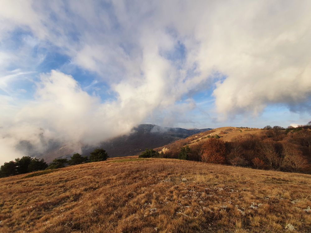 Фотография автора Олеся Боева