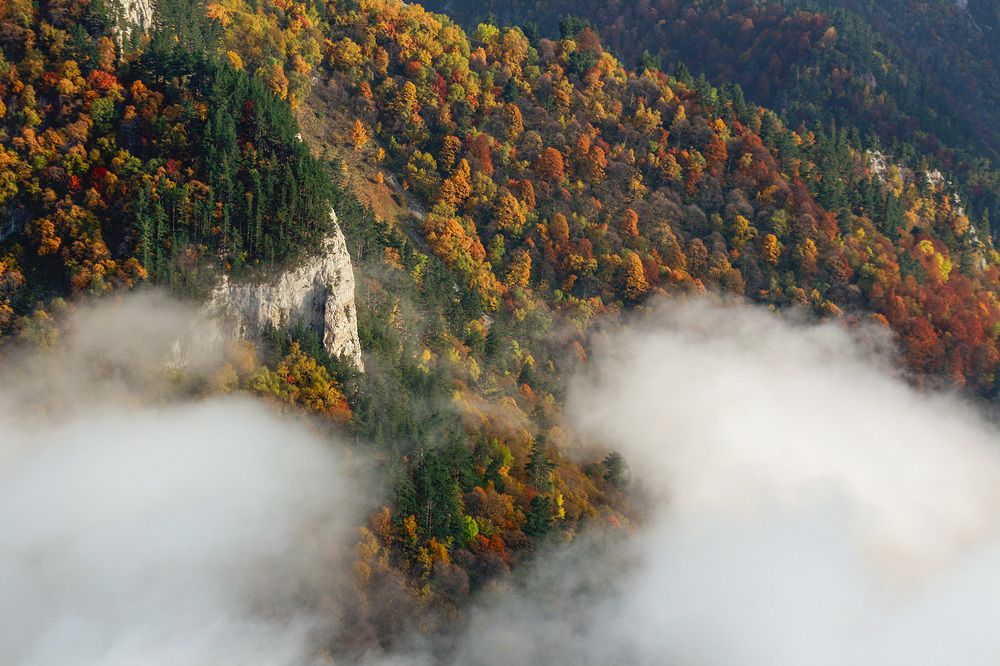 Photograph by Татьяна Ключникова