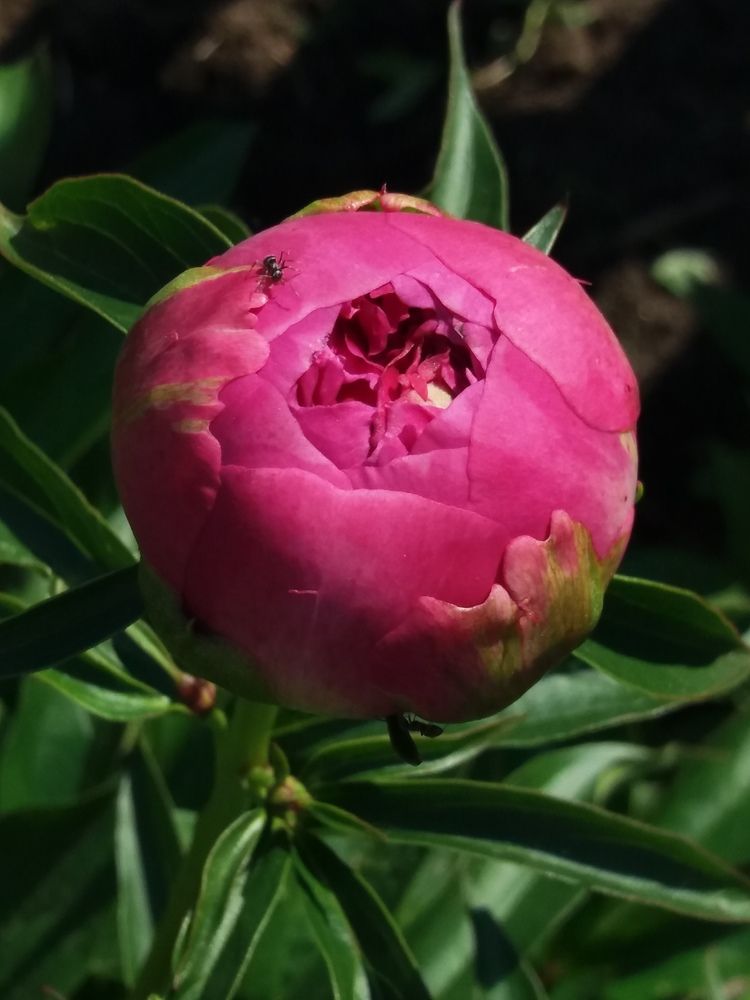 Photograph by Раббе Владимир