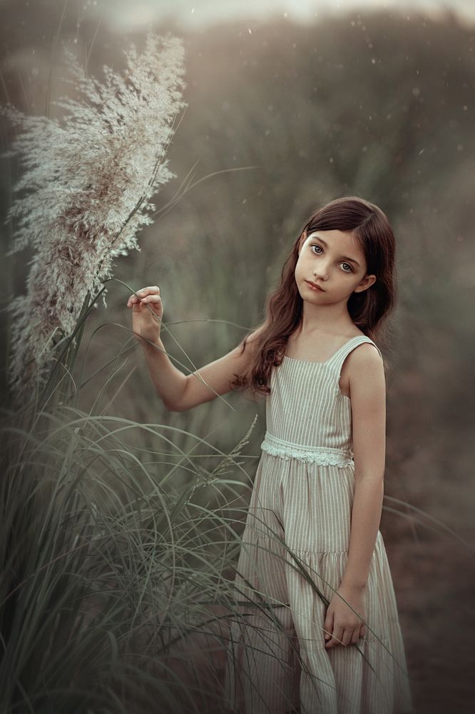 На закате ...