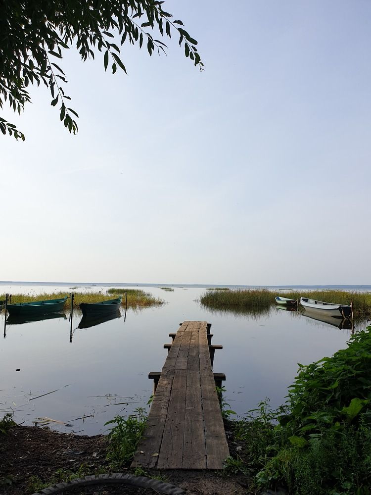 Photograph by Дмитрий Зернов