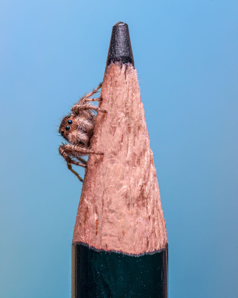 Photograph by Abolfazl Arab