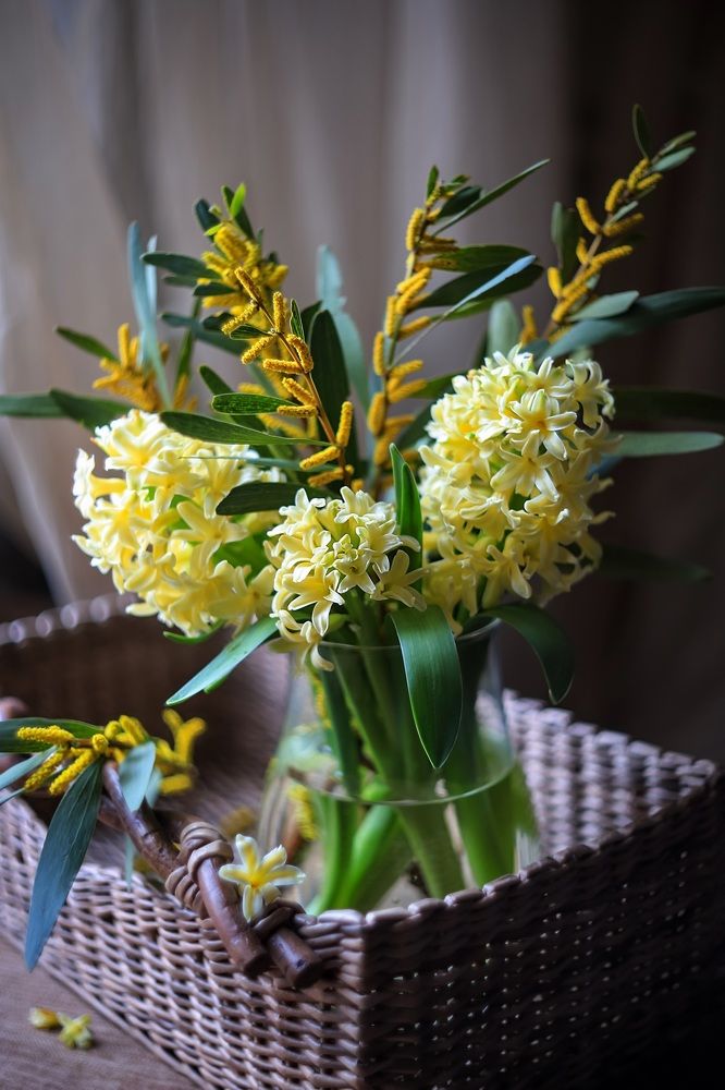 Photograph by Татьяна Кытина