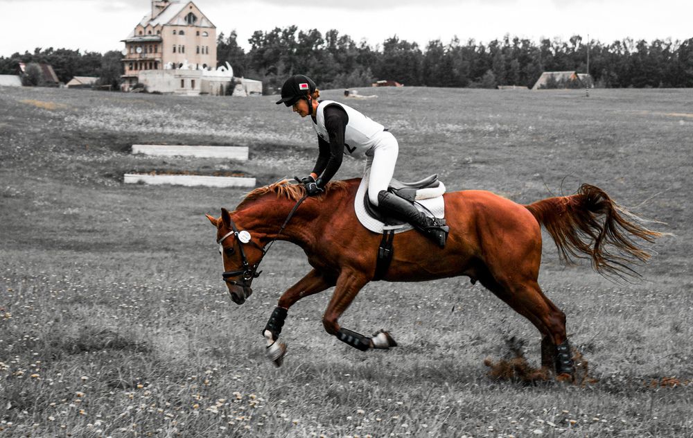 Photograph by Nika Prokopenko