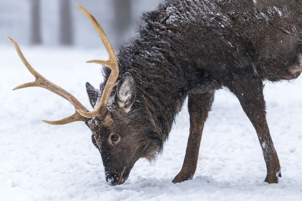 Photograph by Константин Кукушкин