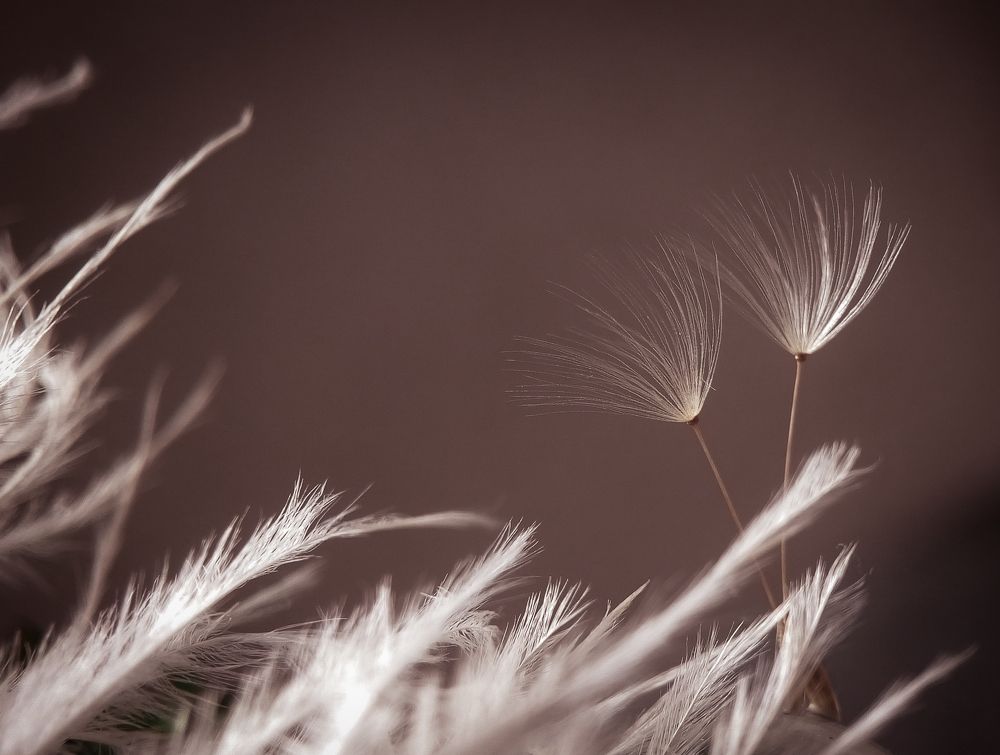 Нежнее пёрышка.