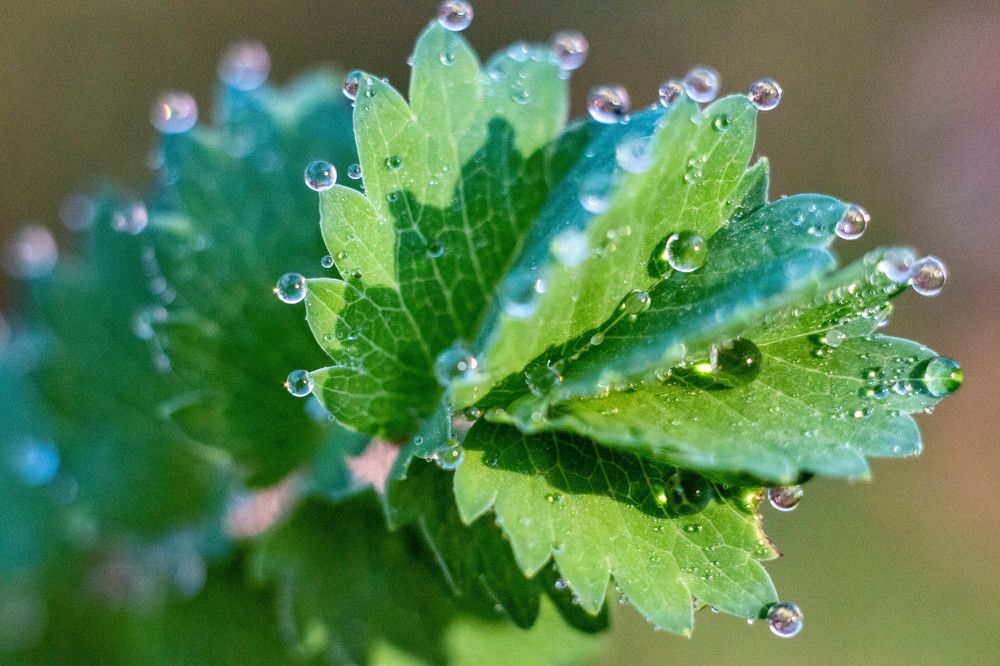 Photograph by Светлана Катанцева