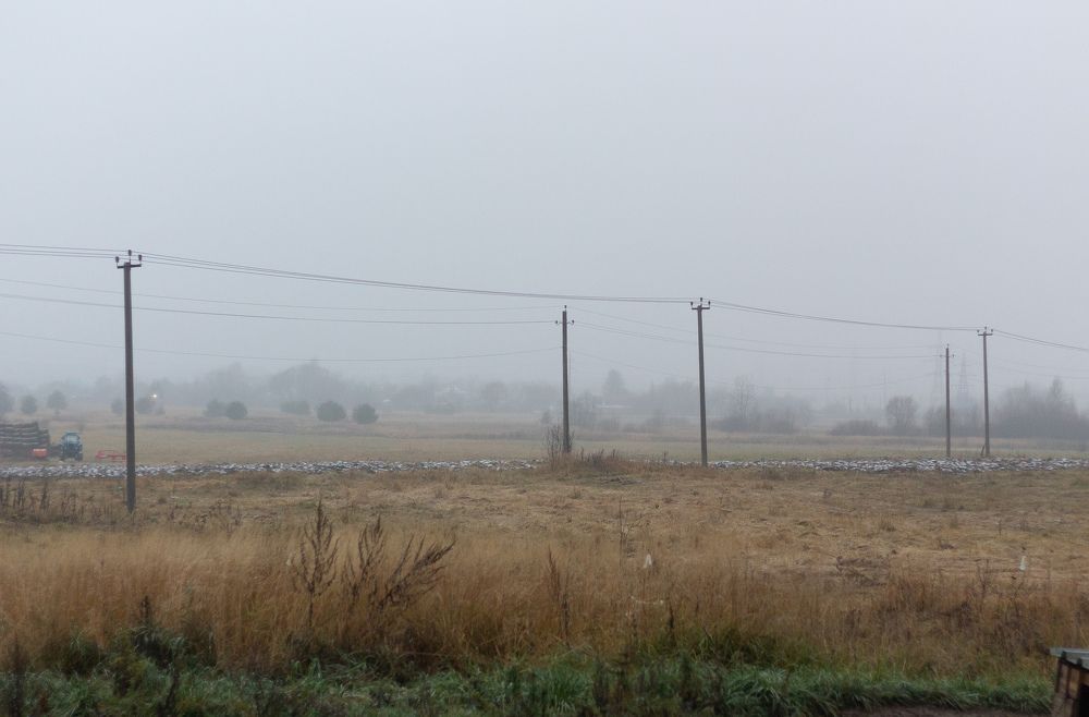 Photograph by Литвиненко Светлана