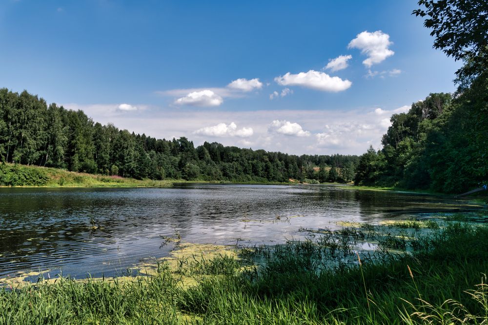 Photograph by Валерий Петухов