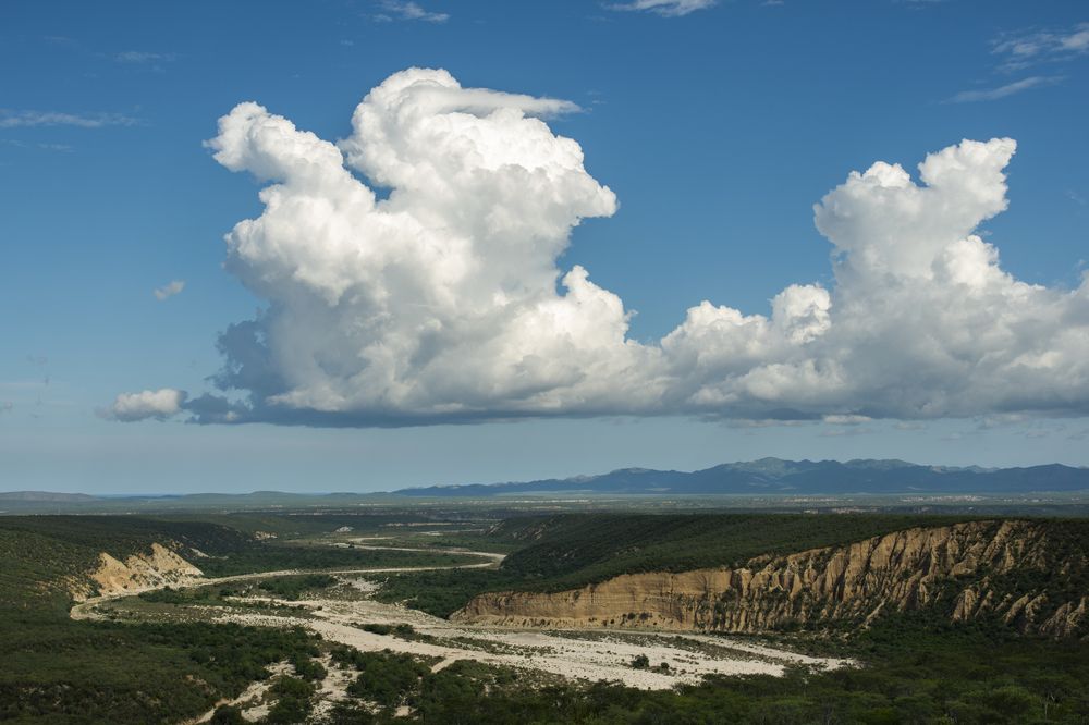 Photograph by Noe Castro