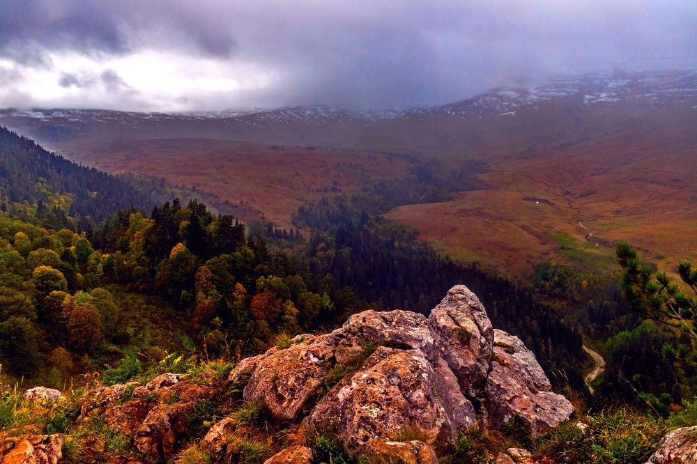 Photograph by Галина Суркова