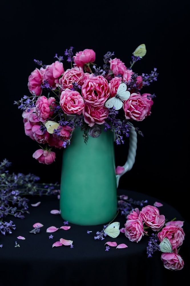 Photograph by Татьяна Кытина