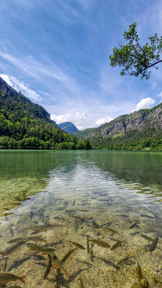 Photograph by Кристина Гончарь