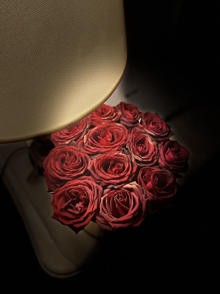 Фотография автора shima tabatabai