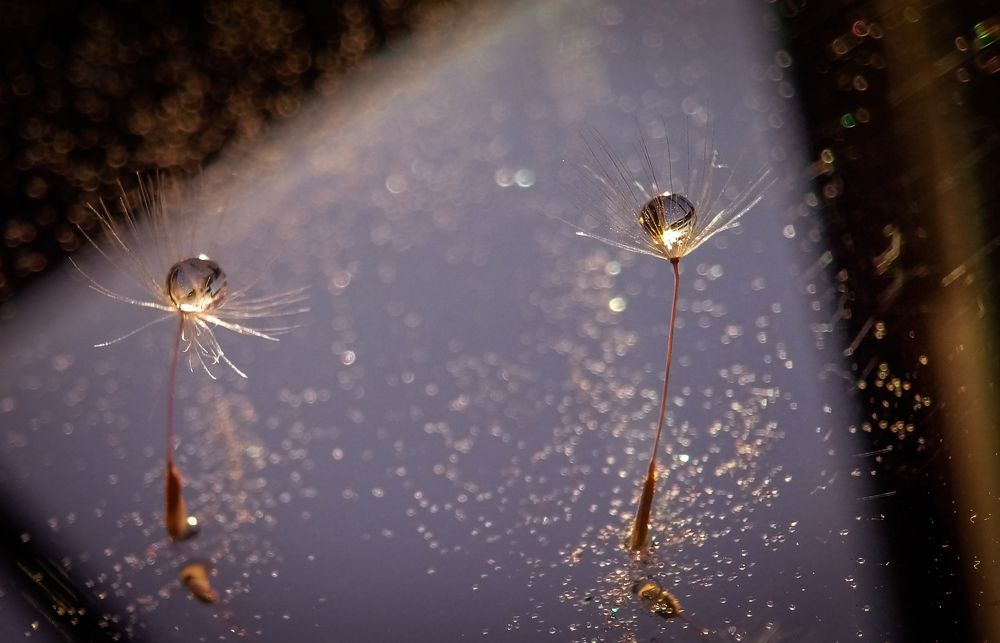 Photograph by Наталья Шумилова