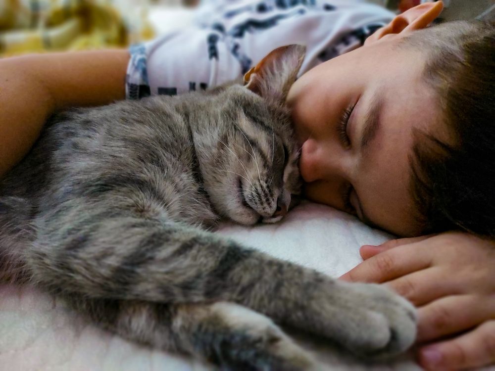 Photograph by Игорь Степанов