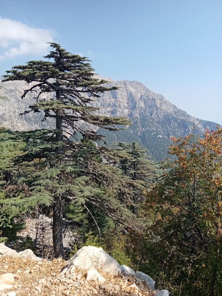 Фотография автора Natalia Khodina