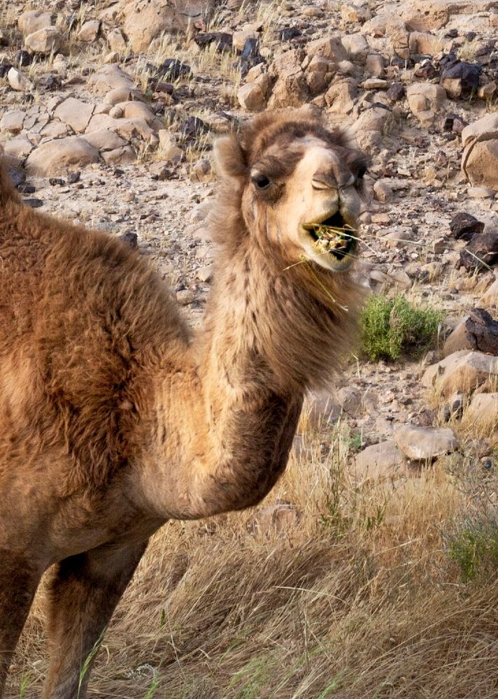 Photograph by Inna Shmelev