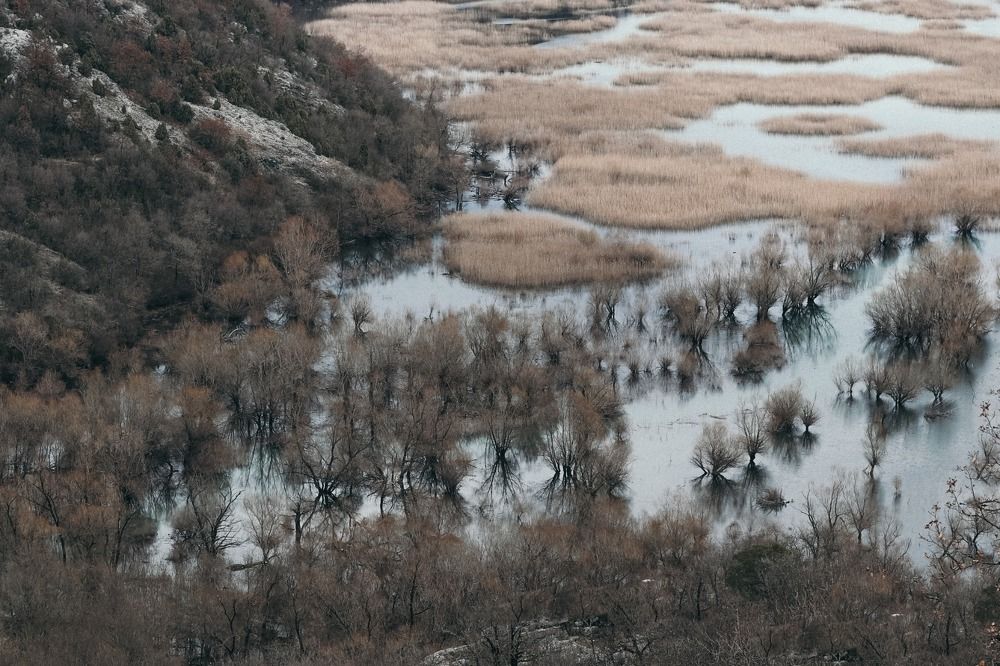 Photograph by Ксения Лаевская