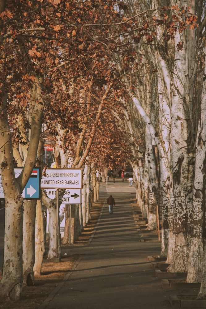 Фотография автора Григор Ходжаян