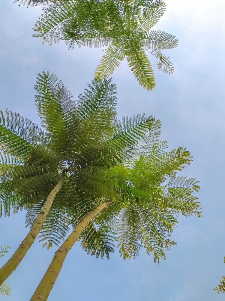 Photograph by Meilany Wijaya