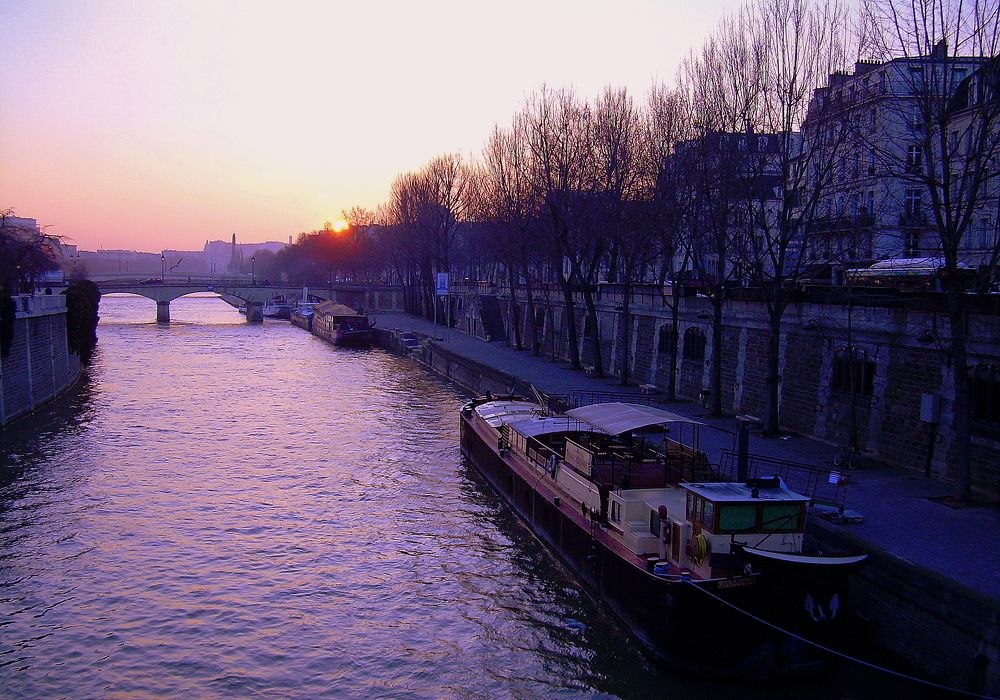 Photo #7409897