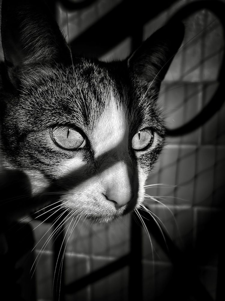 Photograph by Malgorzata Lemiec