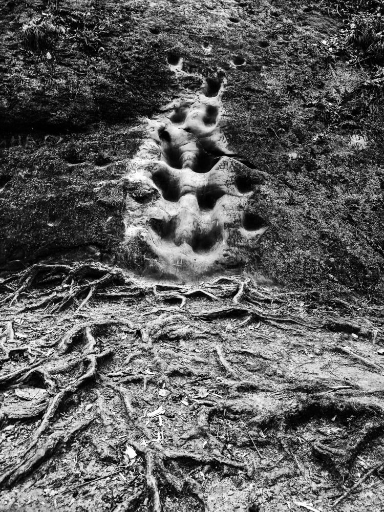 Photograph by Олег Башкуров