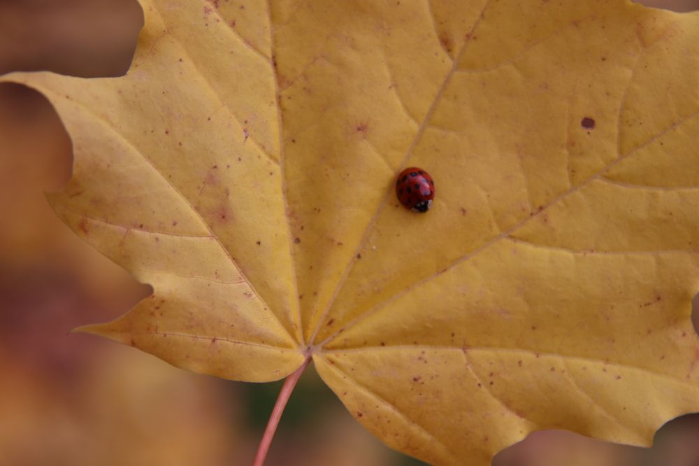 Photograph by Владислав Барышов