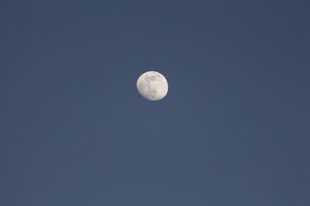 Photograph by Владислав Барышов