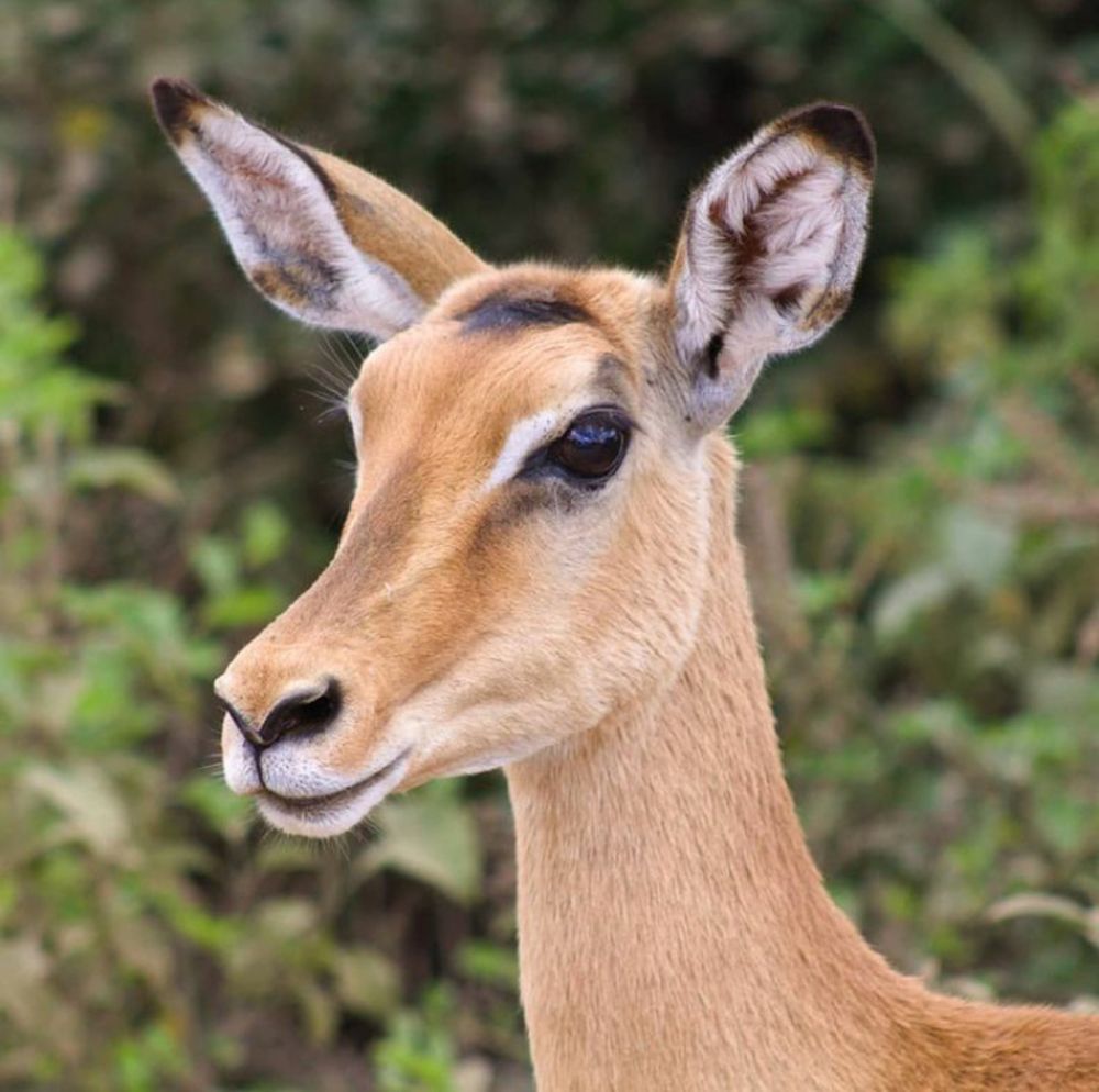 Photograph by Mackton Kipsang