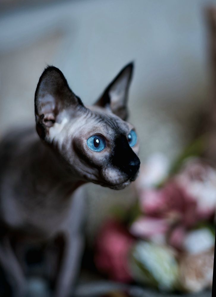 Photograph by Ксения Щербань