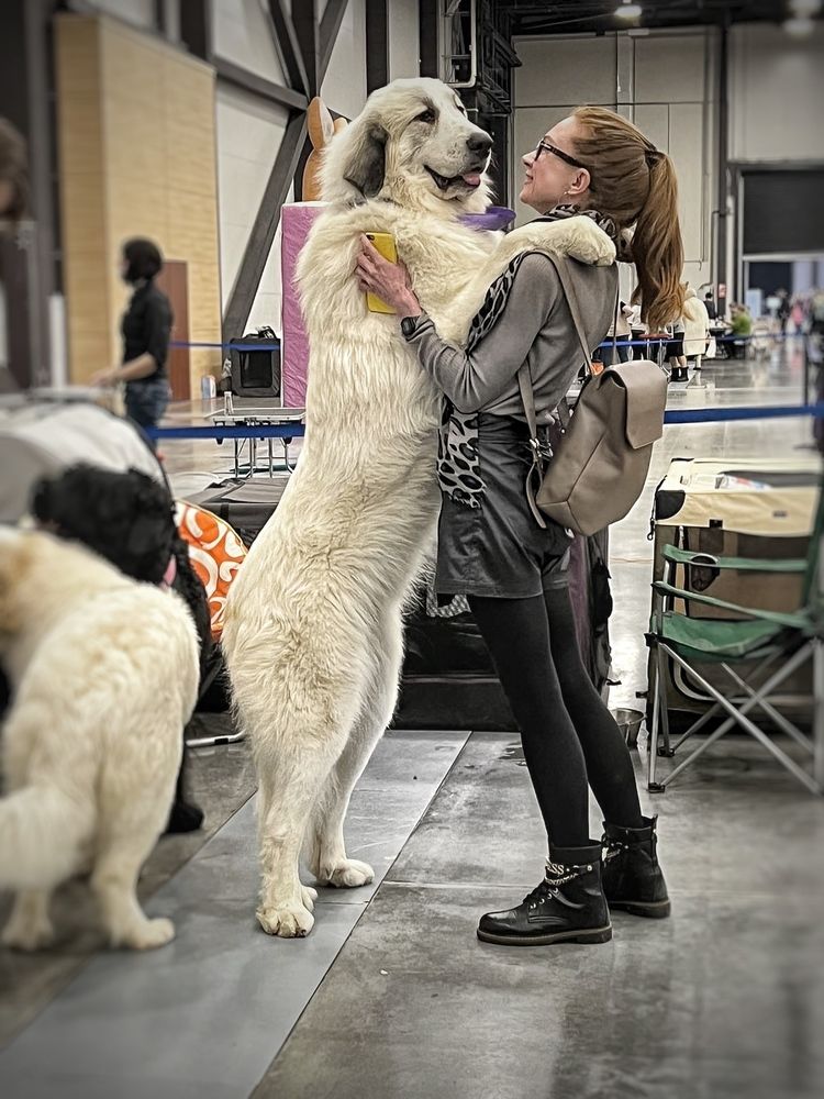 Фотография автора Клюева Ольга