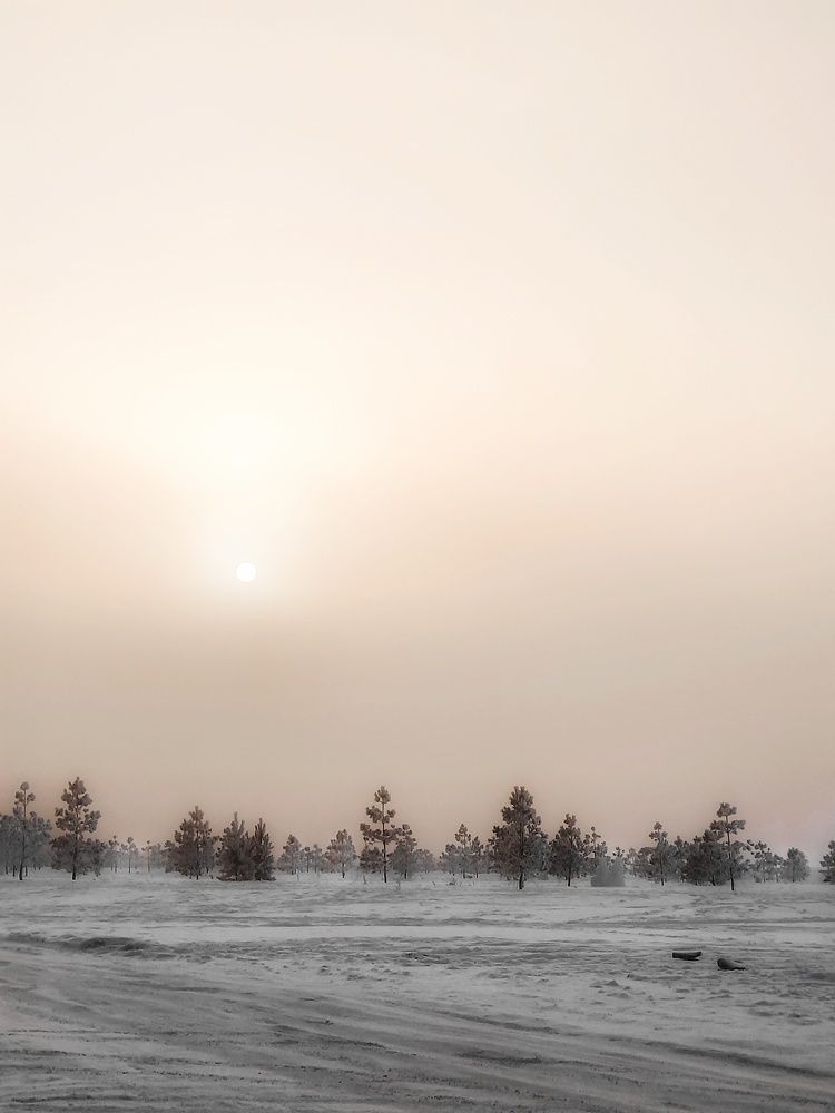 Photograph by Игорь Шамин