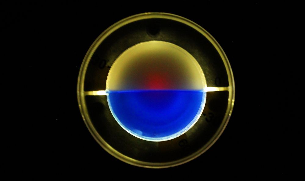 Фотография автора César Carrion