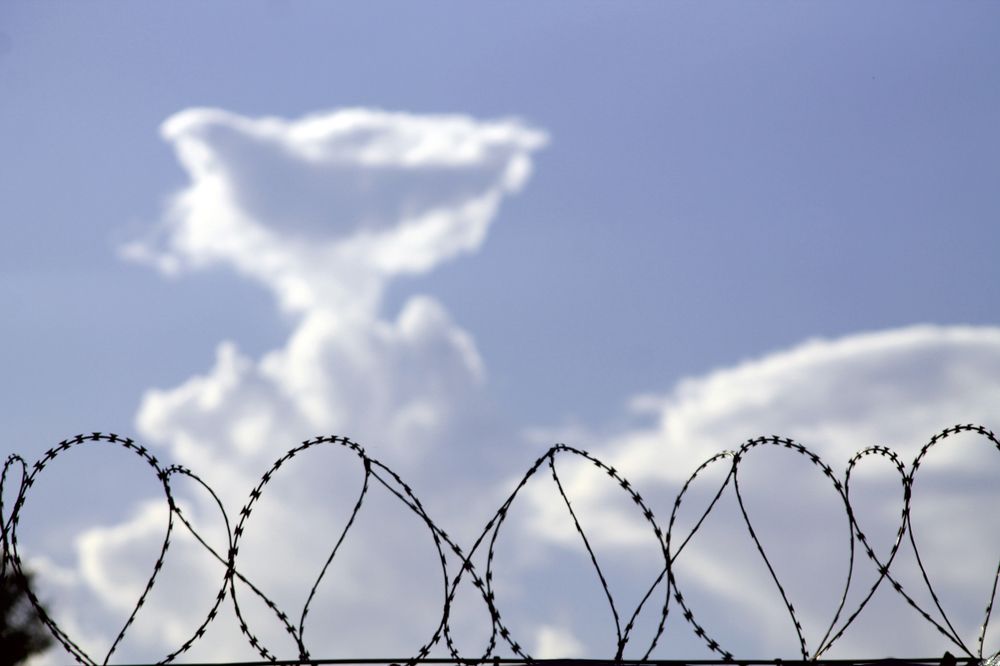 Фотография автора César Carrion