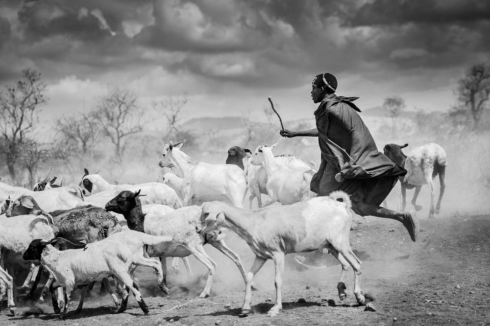 Life in Black and White