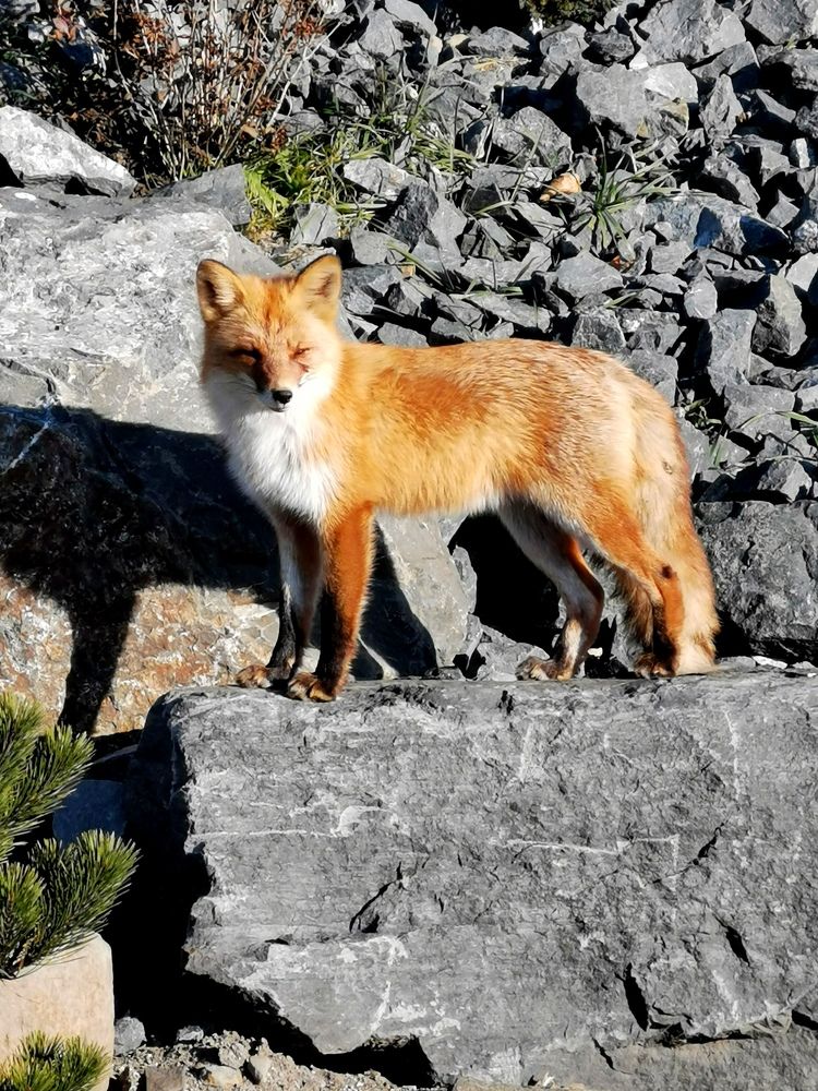 Photograph by Мария Маханько